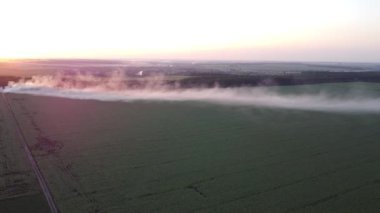 Alevlerin dumanı ayçiçeği tarlasına yayılır ve çevreyi kirletir..