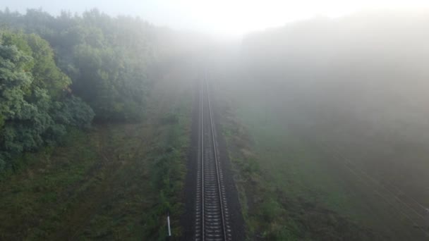 Mgła nad torami. Poranny jesienny krajobraz, tory, po których kursują pociągi. — Wideo stockowe