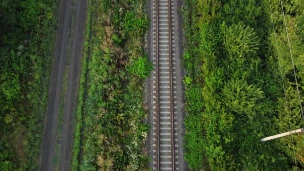 森林やフィールドを介してレール。未舗装道路鉄道線路周辺の自然 — ストック動画