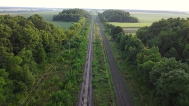 Rails door het bos en veld. Vuile weg, natuur rond de spoorlijnen. — Stockvideo