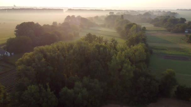 Luchtfoto, ochtendmist bij zonsopgang, vlucht over bomen en vallei op het platteland. — Stockvideo