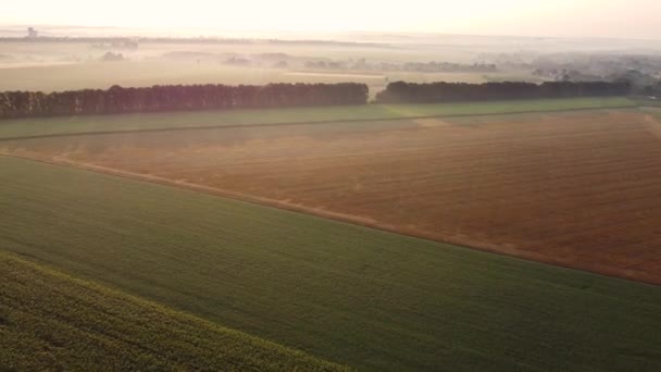 Reggel köd száll a mezőkre napkeltekor, átrepülnek a vidéken egy magasan fekvő mezőn az égen.. — Stock videók
