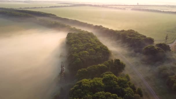 Mist over het bos en spoorlijnen — Stockvideo