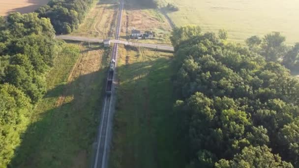 貨物列車が交差点で高速道路を横断する. — ストック動画