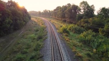 Ormandaki tren raylarında gün doğumu.