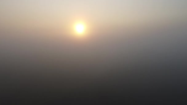 Stijg tot zonsopgang boven de dikke mist. — Stockvideo