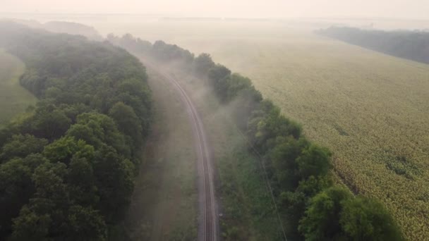 Järnvägen i dimman. Flygfoto av drönare flygning över morgon höst landskap. — Stockvideo