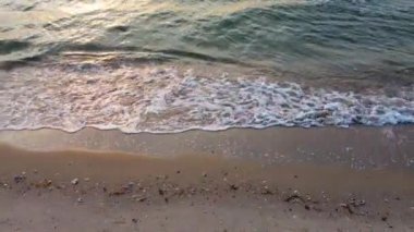 Sahilde dalgalar. Dalgaları kıyıya taşıyan deniz kabukları ve çakıl taşlarıyla kumsal.