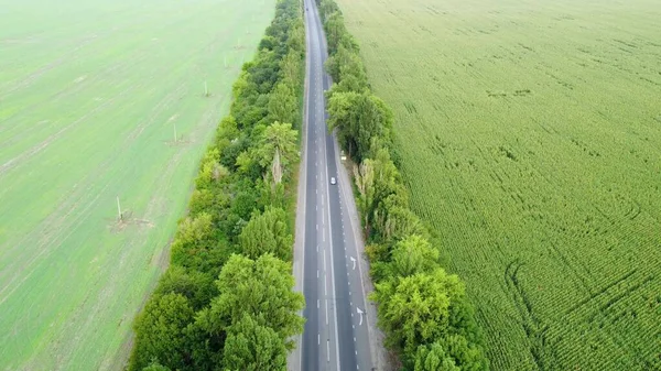 Estrada Cercada Com Árvores Campos Agrícolas Com Tráfego Movimentado Vista — Fotografia de Stock