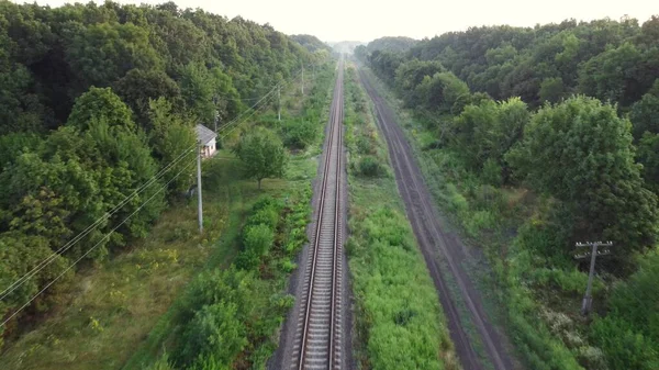 Tory Kolejowe Przez Lasy Pola Połączenie Transportowe Transporcie Towarowym Pasażerskim — Zdjęcie stockowe