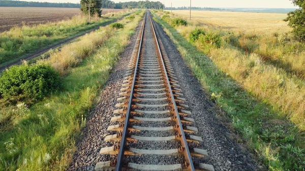 Прямые Железнодорожные Пути Железнодорожная Дорога Через Поля Леса — стоковое фото