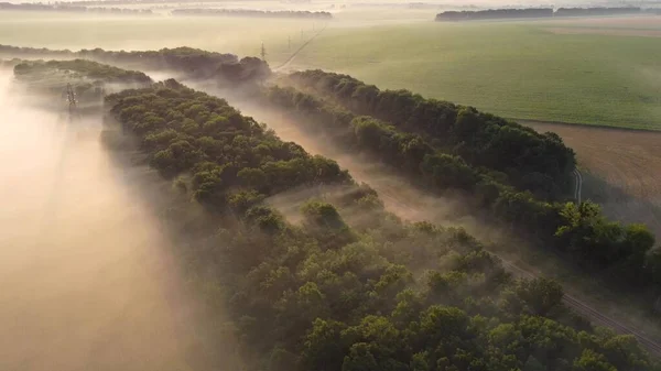 Eisenbahngleise Und Wald Nebel Bei Sonnenaufgang Luftaufnahme Der Morgenlandschaft — Stockfoto