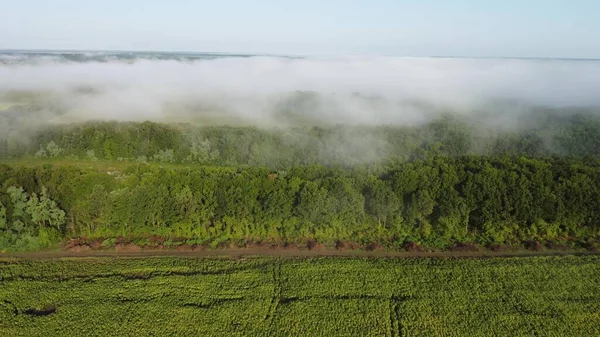 Felder Und Wälder Sind Mit Morgennebel Bedeckt Drohne Den Wolken — Stockfoto