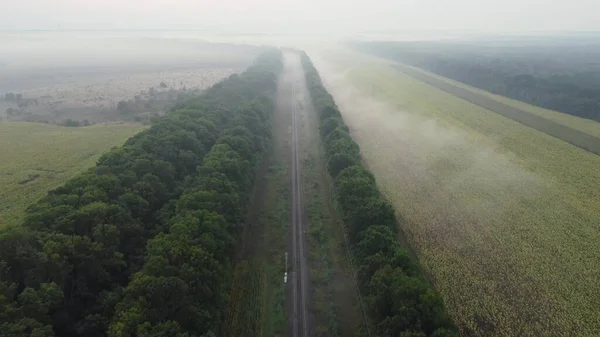 Nebeliger Morgen Naturlandschaft Über Die Eisenbahn Entlang Von Waldplantagen Und — Stockfoto