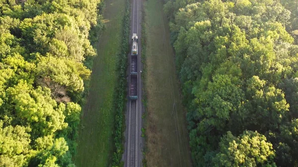 Железная Дорога Поезд Через Лес Утром — стоковое фото