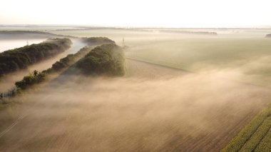 Ormanın yakınındaki tarlada sabah sisi var. Yoğun siste sonbahar sabahı
