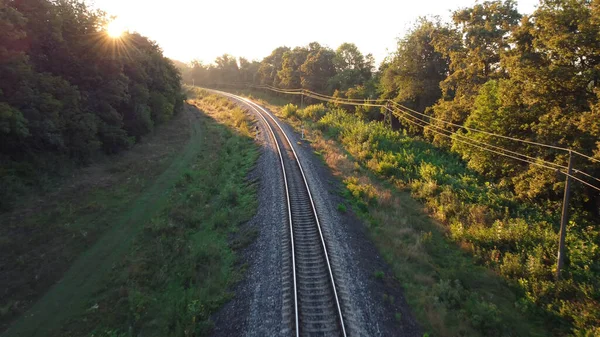 Sol Manhã Brilha Por Trás Dos Ramos Trilhas Ferroviárias Através — Fotografia de Stock