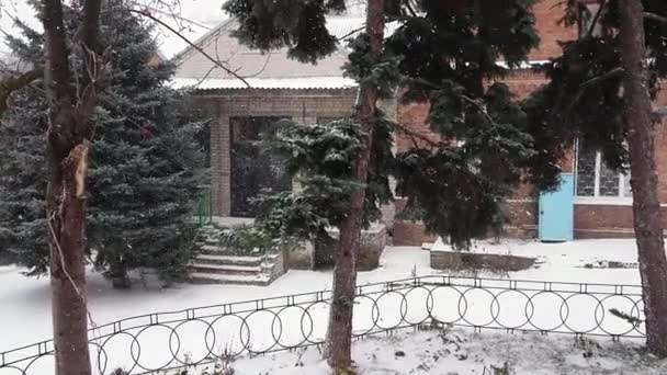 A neve está caindo lentamente, belo inverno no quintal nevasca pesada — Vídeo de Stock