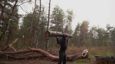 Kaslı sporcu ağır yük kaldırıyor, ormanda kütük tutuyor. Sonbaharda