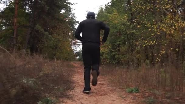 Un tipo vestido de negro está entrenando, corre por el bosque entre pinos, otoño — Vídeos de Stock