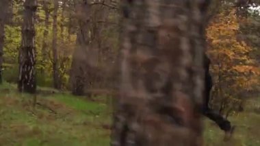 Sabah, ağaçların arasında karanlık bir ormanda koşuyor.