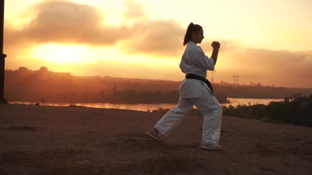Translation: Kyokushinkai. girl engaged karate yoga. Nature, city, river, forest, rocks background — Vídeos de Stock