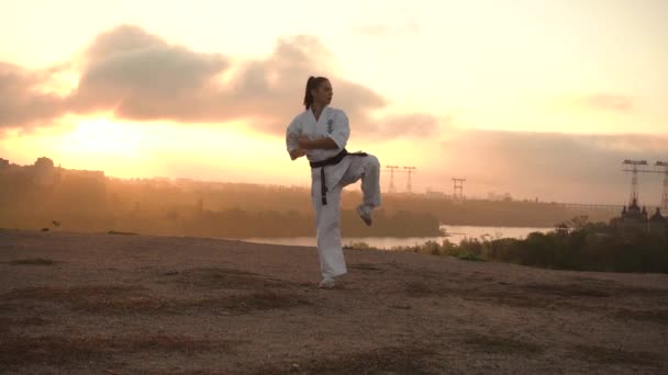 Traduction : Kyokushinkai. femme est engagée dans un entraînement de karaté dans la nature automne aube coucher de soleil ciel doré — Video