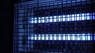 Elektrikli Swatter Caddesi yazı parlak mavi ışıklı böcekleri cezbeder. 2 lamba böcekleri öldürür, sivrisinekler görünür.