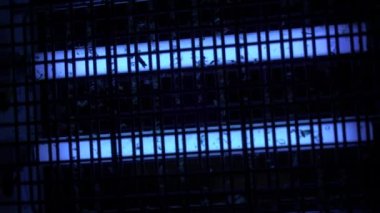 Elektrikli sineklik ultraviyole ışınları böcekleri çeker ve kaza yapar. Kalanlar sivrisinekler.