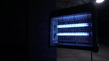 Elektrik kıracağı, böceklerin mavi ışığını çeker. Lamba böcekleri, sivrisinek kalıntıları.