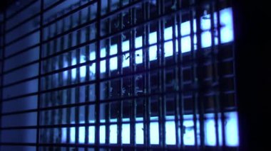 Elektrik kıracağı, böceklerin mavi ışığını çeker. Lamba böcekleri, sivrisinek kalıntıları.