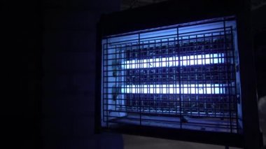 Elektrik kıracağı, böceklerin mavi ışığını çeker. Lamba böcekleri, sivrisinek kalıntıları.