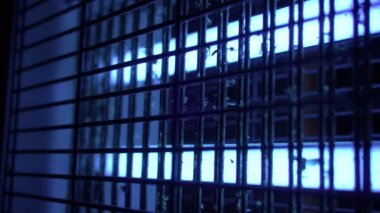 Elektrik kıracağı, böceklerin mavi ışığını çeker. Lamba böcekleri, sivrisinek kalıntıları.