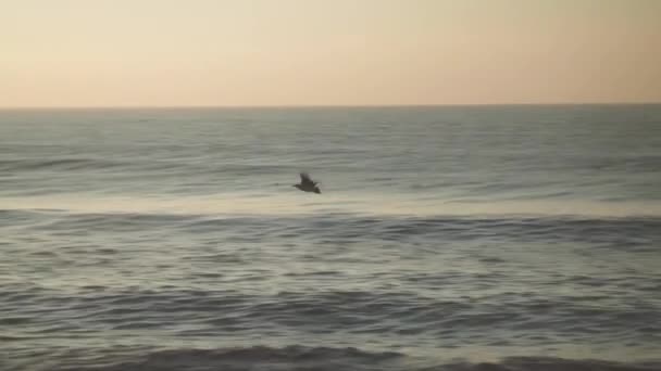 Вид на Чорне море, птахи літають у пошуках риби, повільно ширяють хвилі, літні канікули — стокове відео
