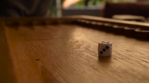 Mnohobarevné kostky leží na dřevěné desce pro vrhcáby. hráč se připravuje k přesunu — Stock video