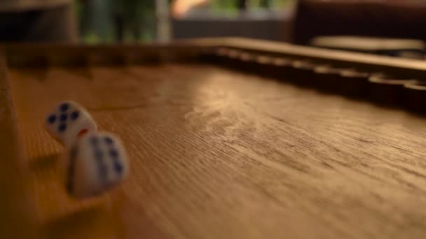 Uma mão de homem joga dados coloridos em uma placa de gamão de madeira — Vídeo de Stock