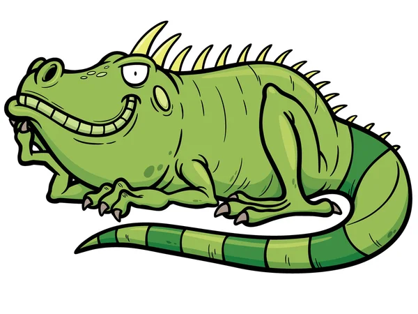 Iguana — Stok Vektör