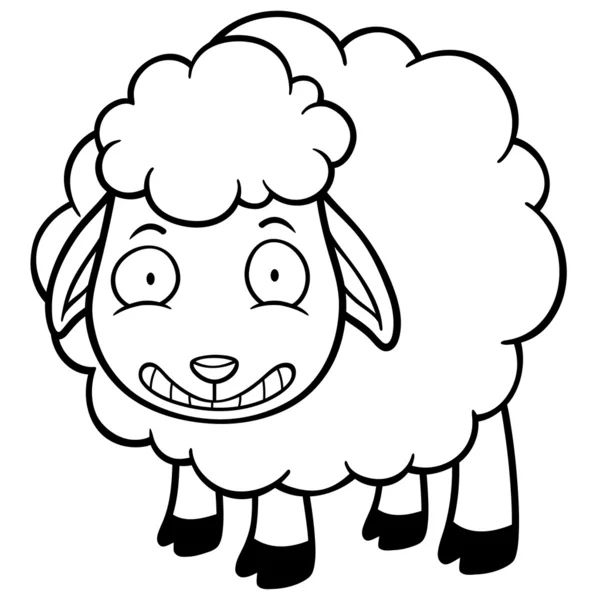 Schapen — Stockvector