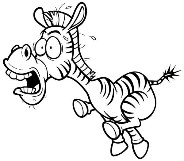Zebra — Stockový vektor
