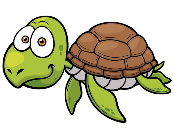 Tortuga — Vector de stock