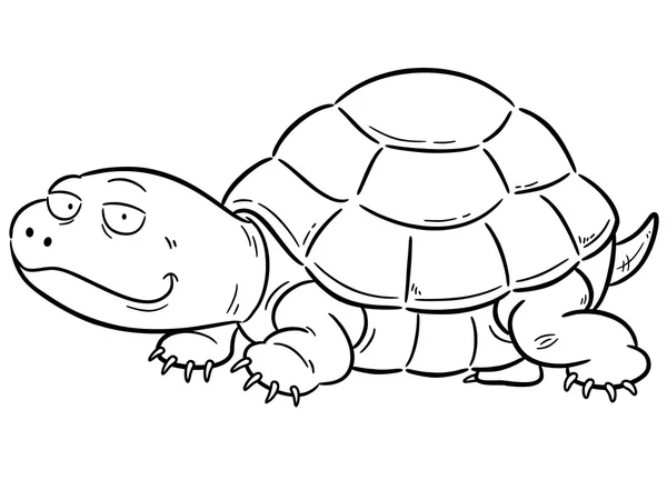 Turtle — Stock Vector