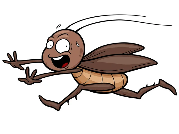 Cockroach Stock Vector