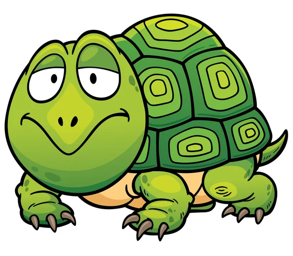 Sköldpadda — Stock vektor