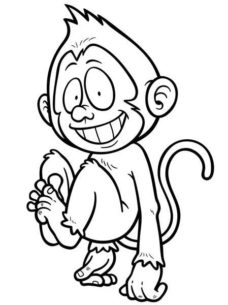 Monkey — Stock Vector