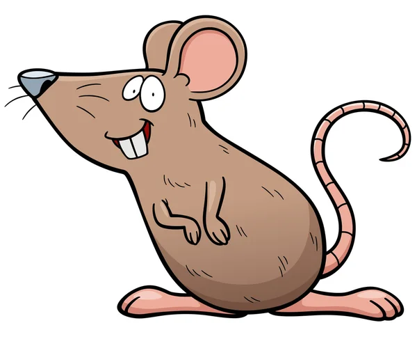 Rat cartoon — Stock Vector