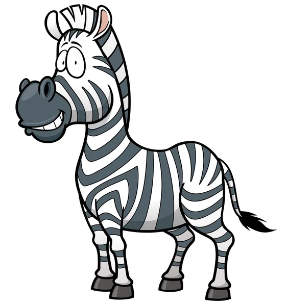 Zebra — Stockový vektor