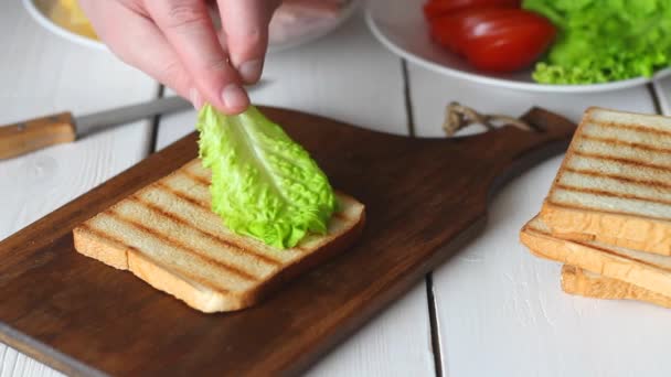 Il processo di preparazione di un panino con insalata, pomodoro, prosciutto e formaggio. Cucina americana. Fast food. Cottura. — Video Stock