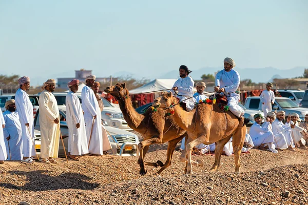 Oman Stycznia 2021 Odbywa Się Tradycyjny Wyścig Wielbłądów Dwóch Jeźdźców — Zdjęcie stockowe