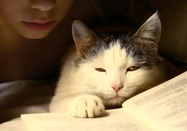 Jongen 's avonds lezen boek met kat — Stockfoto