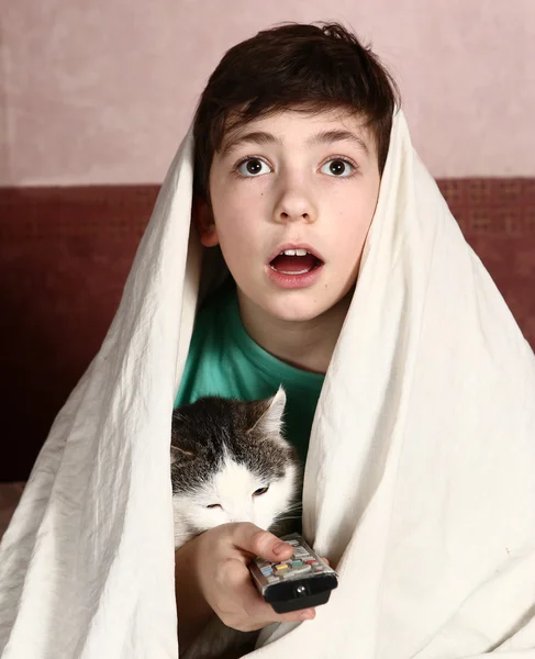 Boy with cat  watch horror movie — Stock Fotó